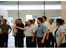 省教育厅领导莅临山东鲁泰建材科技集团调研指导